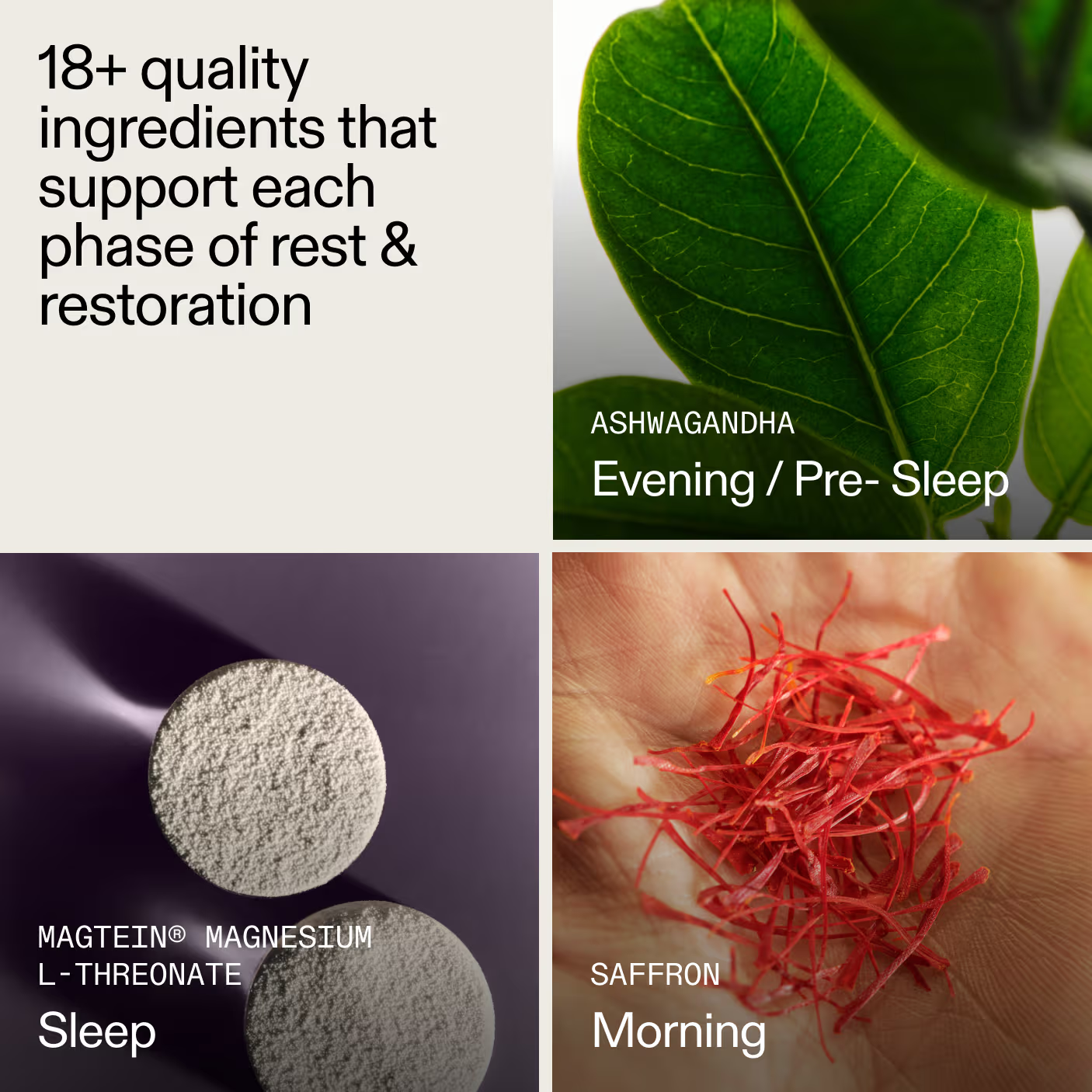 AGZ: Nightly Sleep Support